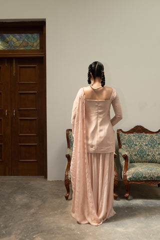 Back view of light baby pink ruching peplum highlighting the fitted silhouette, paired with flowy sharara and scallop dupatta.