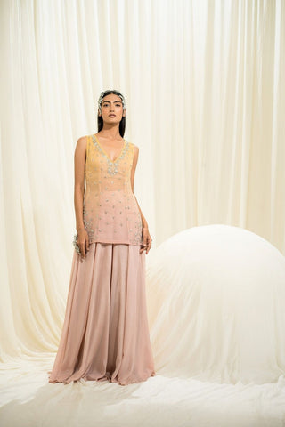 Elegant pink and yellow palazzo set designed with a modern flowing silhouette and soft feminine charm, perfect for effortless festive and contemporary occasion wear.