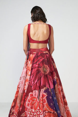 Back look of elegant cherry-colored organza lehenga set with blouse handcrafted embroidery, ornate embellished borders, and tassel accents for festive and wedding occasions.