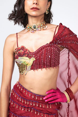 Cherry Dilkhush Set showcasing premium crepe and organza fabric in a cherry color with exquisite hand embroidery and scattered sequin detailing.